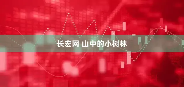 长宏网 山中的小树林