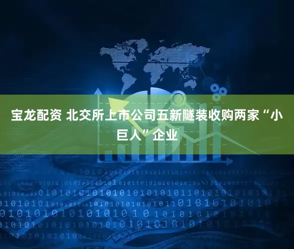 宝龙配资 北交所上市公司五新隧装收购两家“小巨人”企业
